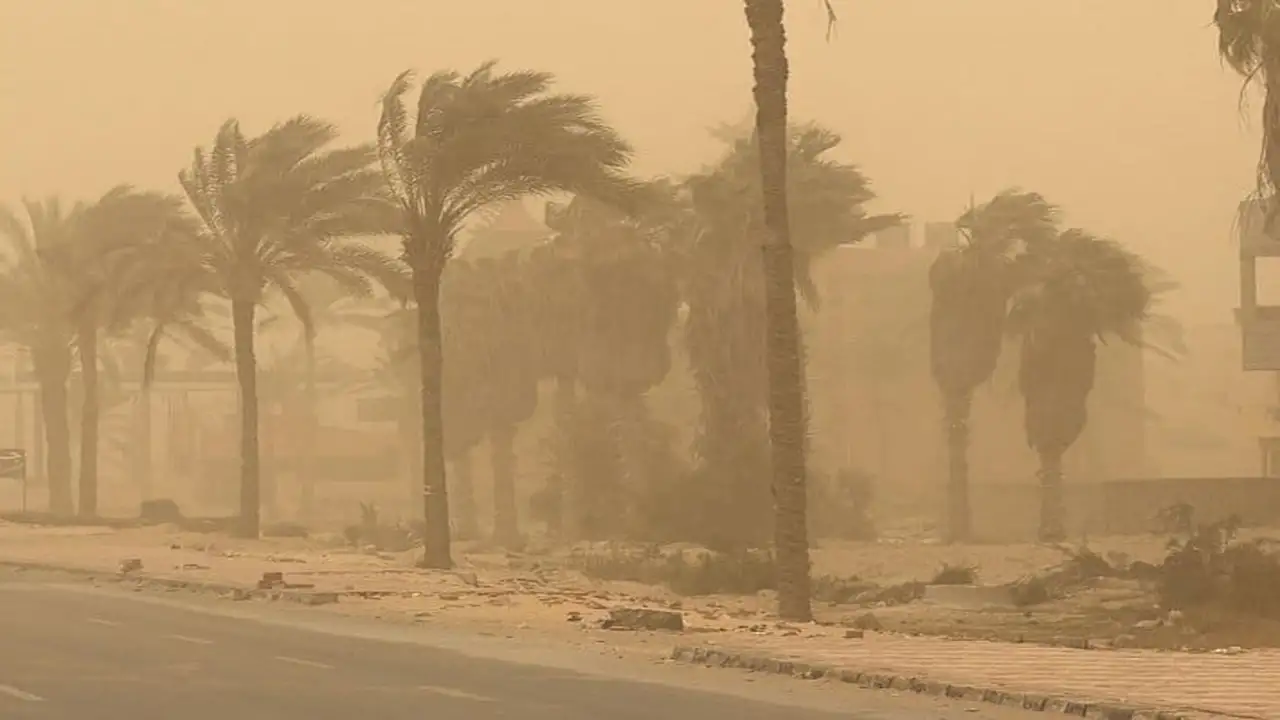 طقس مائل للدفء نهارًا وبارد ليلًا مع نشاط للرياح يوم الأحد المقبل